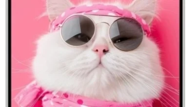 سعر ومواصفات Samsung Galaxy S26 Pro